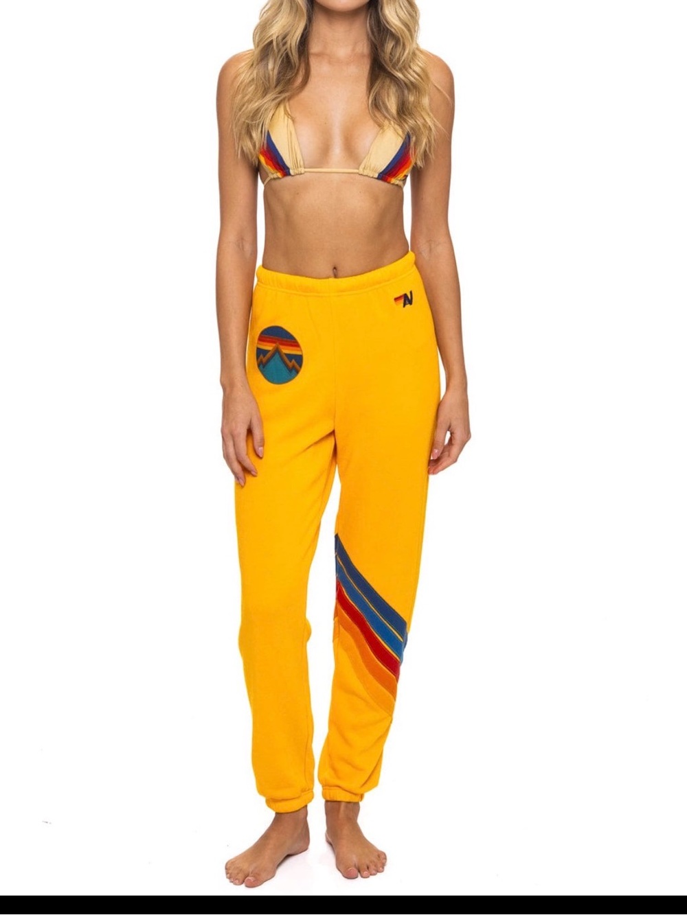AVIATOR NATION ALL SEASONS CIRCLE CHEVRON SWEATPANTS - GOLD